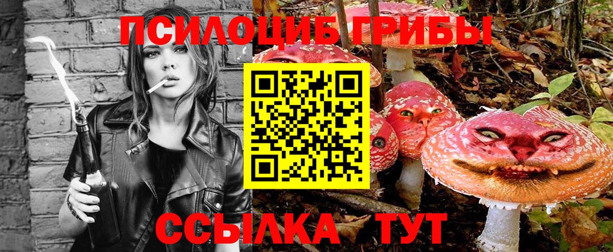 Галлюциногенные грибы MAGIC MUSHROOMS Кисловодск