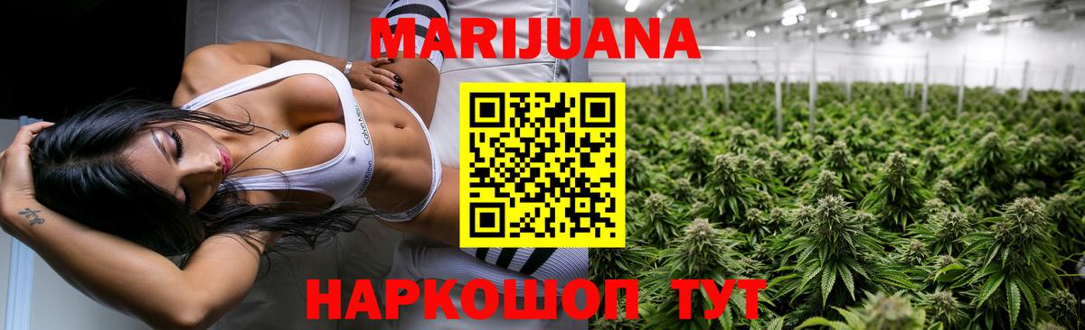 Кисловодск  Бошки марихуана конопля  Конопля планчик  Вход с VPN  Бошки марихуана семена  Бошки Шишки конопля 